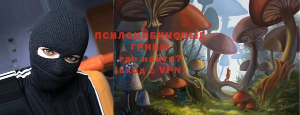 гашик Богородск