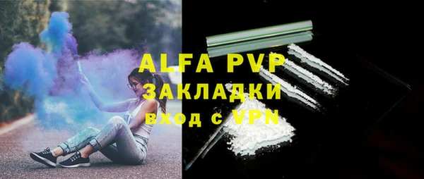 гашиш Богданович