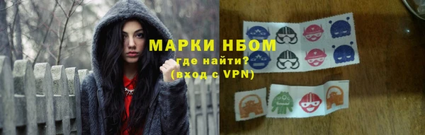 гашик Богородск