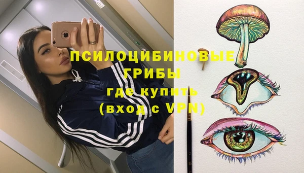 гашиш Богданович