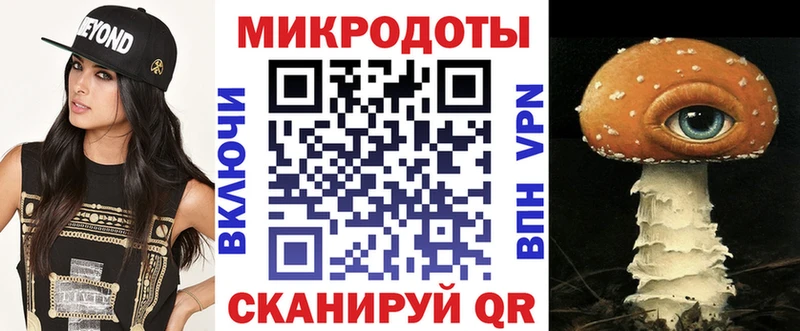 omg как войти  Няндома  Галлюциногенные грибы прущие грибы 